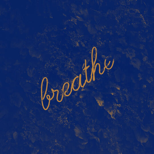 Breathwork